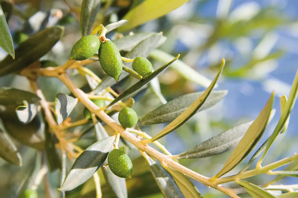 Gruppenreise Kroatien